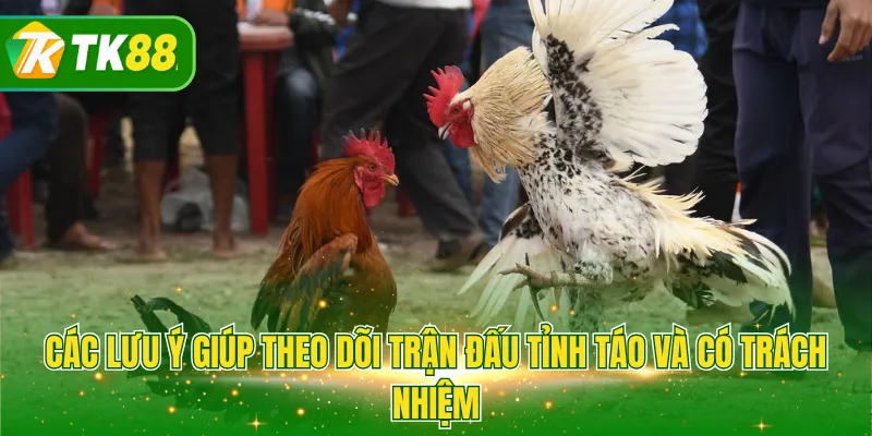 Các lưu ý giúp theo dõi trận đấu tỉnh táo và có trách nhiệm