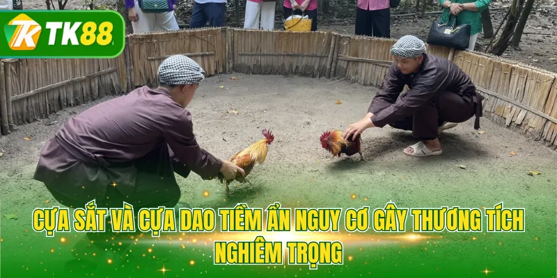 Cựa sắt và cựa dao tiềm ẩn nguy cơ gây thương tích nghiêm trọng