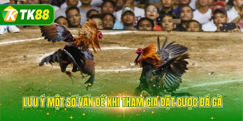 Lưu ý một số vấn đề khi tham gia đặt cược đá gà