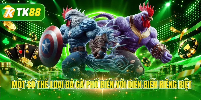 Một số thể loại đá gà phổ biến với diễn biến riêng biệt