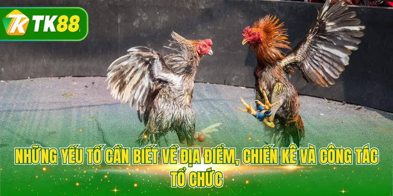 Những yếu tố cần biết về địa điểm, chiến kê và công tác tổ chức