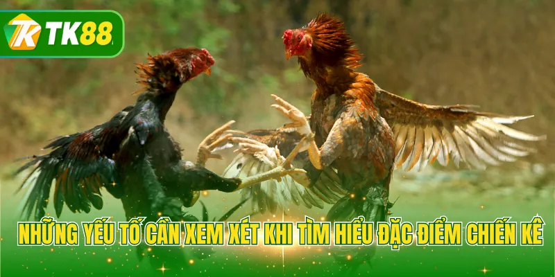 Những yếu tố cần xem xét khi tìm hiểu đặc điểm chiến kê